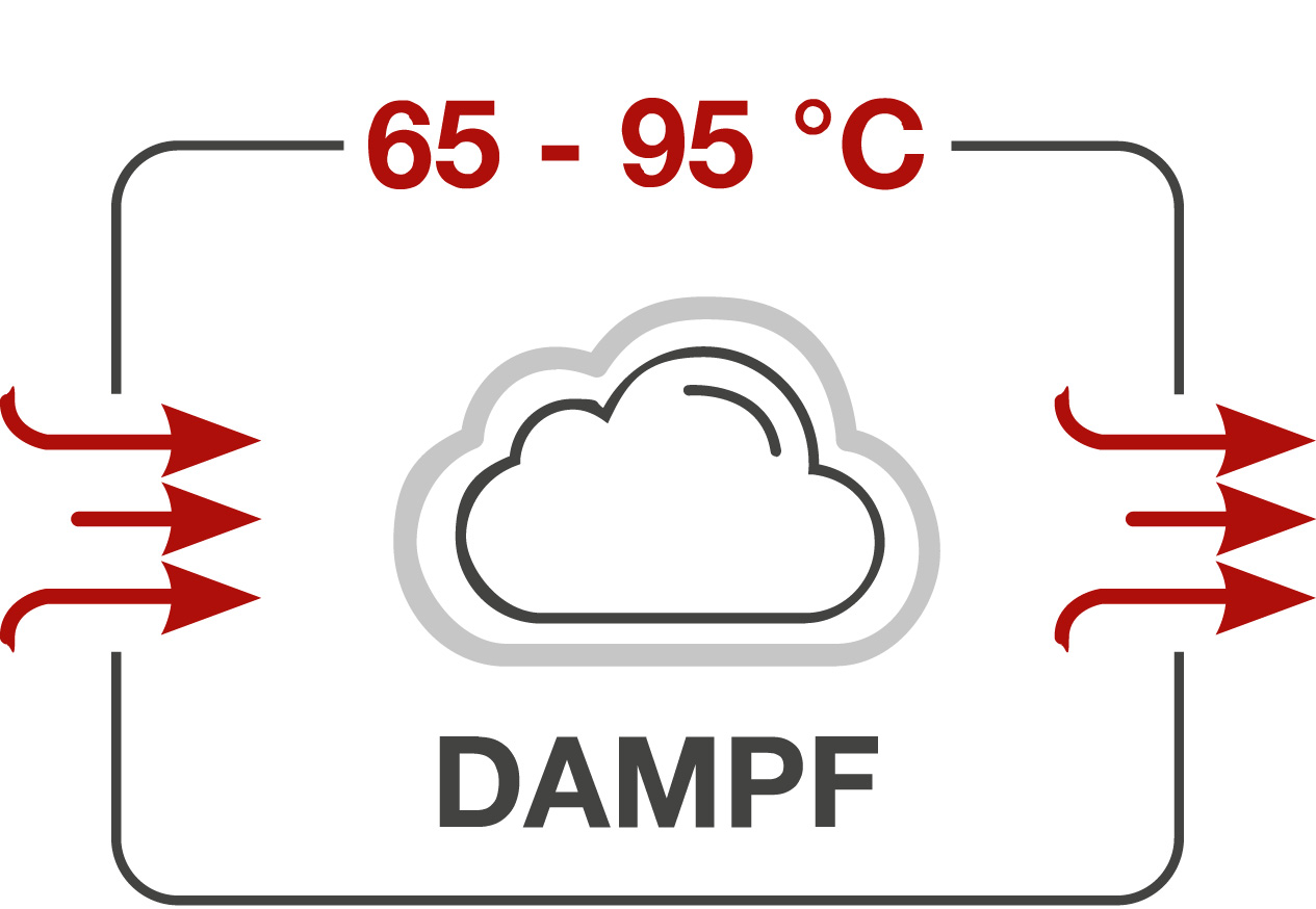 Dampf