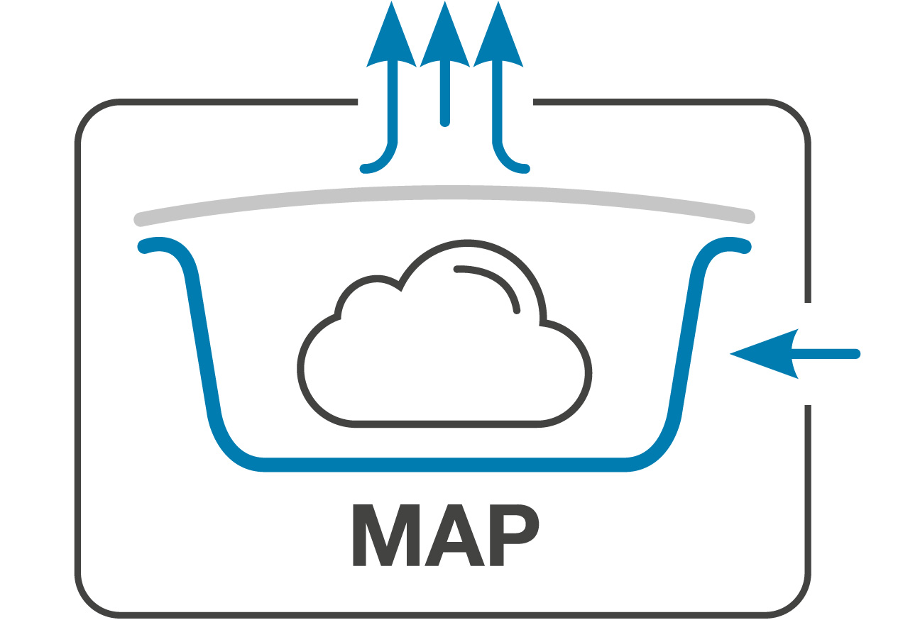 MAP de alt Text